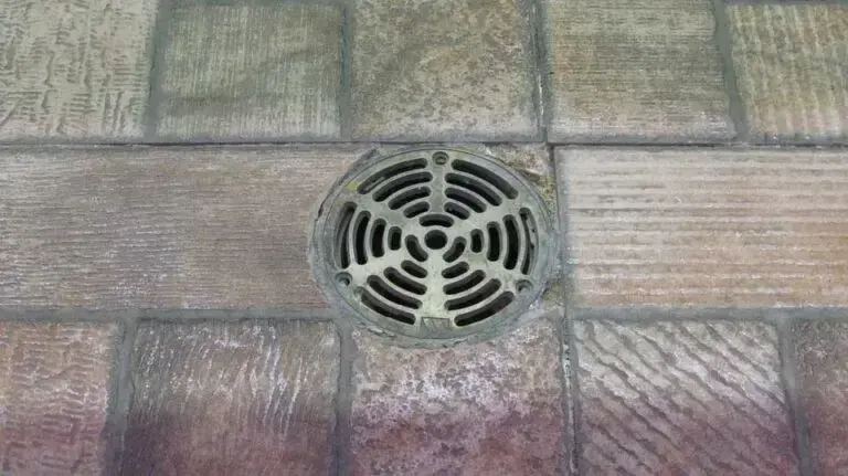 Basement floor drain grate, the first opening where a sewer backup shows